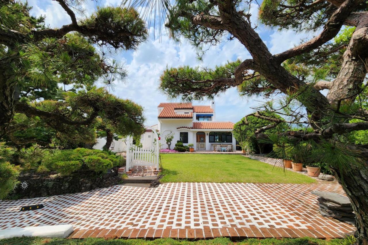 Palm Tree Villa Seogwipo Exterior photo