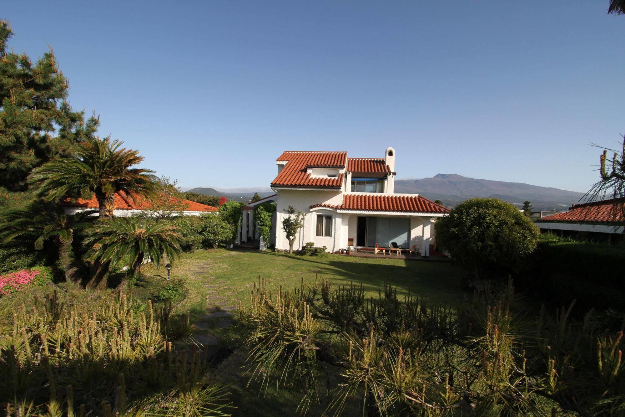 Palm Tree Villa Seogwipo Exterior photo